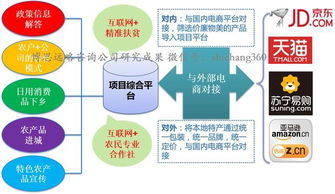 案例 互联网 三农模式 现代农业及精准扶贫 项目投资研究