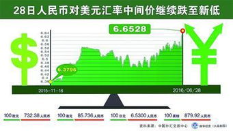 中日养老护理用品跨境电商项目启动