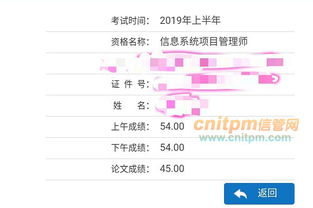 信管网2019年上半年信息系统项目管理师部分学员成绩截图