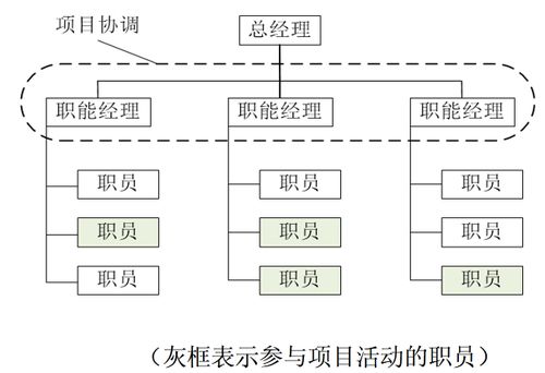 软考 信息系统项目管理师 信息系统项目管理基础