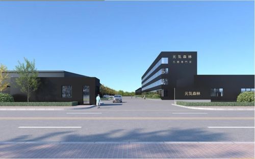 产自鼎湖的 元气森林 来了 元气森林项目本月量产,年产值约10亿元
