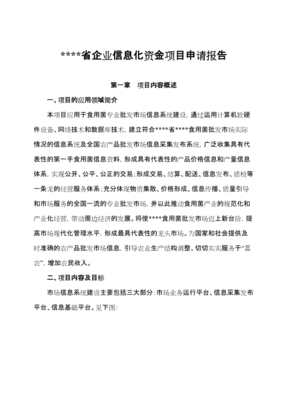 关于企业信息化升级改造项目的资金申请报告